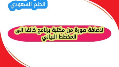 لاضافة صورة من مكتبة برنامج كانفا الى المخطط البياني