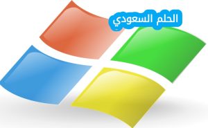 ما التطبيقات التي يمكن للمستخدمين استخدامها للوصول الى copilot لزيادة امتيازات copilot التي تتمتع بها مؤسستهم