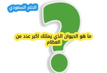 ما هو الحيوان الذي يمتلك اكبر عدد من العظام