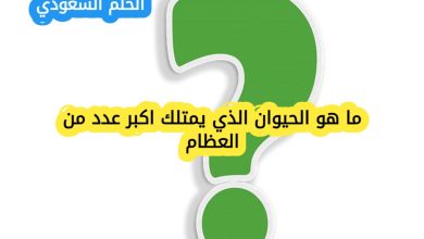 ما هو الحيوان الذي يمتلك اكبر عدد من العظام