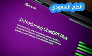 ما هو الدور الاساسي للبيانات في انظمة الذكاء الاصطناعي