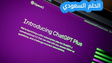 ما هو الدور الاساسي للبيانات في انظمة الذكاء الاصطناعي