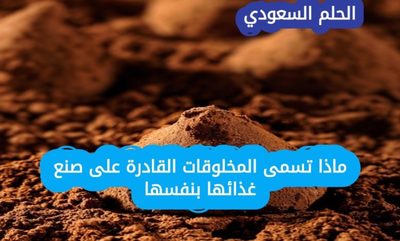 ماذا تسمى المخلوقات القادرة على صنع غذائها بنفسها؟