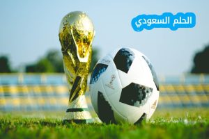 عدد المنتخبات المشاركة في كأس العالم 2026