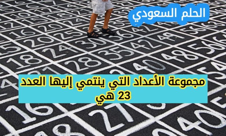 مجموعة الأعداد التي ينتمي إليها العدد 23 هي : يمكنك اختيار أكثر من إجابة صحيحة