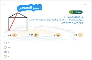 مربع مساحته = ١٠٠ سم وعليه مثلث مساحته = ١٠ سم اوجد طول الخط الأحمر