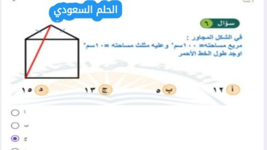 مربع مساحته = ١٠٠ سم وعليه مثلث مساحته = ١٠ سم اوجد طول الخط الأحمر