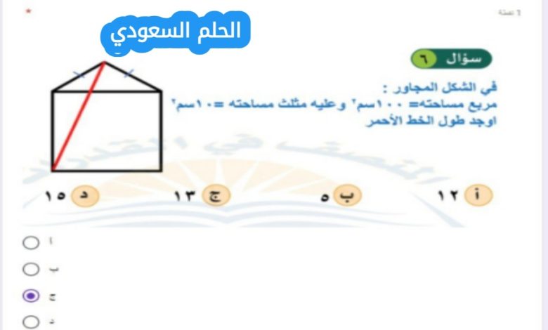 مربع مساحته = ١٠٠ سم وعليه مثلث مساحته = ١٠ سم اوجد طول الخط الأحمر