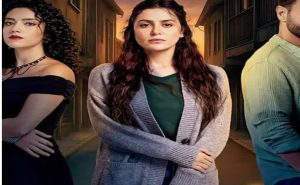 مسلسل سلمى كم عدد حلقاته؟ تعرف على تفاصيل المسلسل وأحداثه