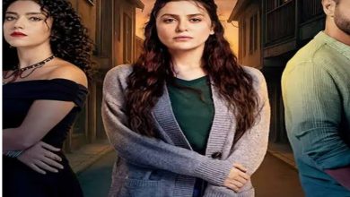 مسلسل سلمى كم عدد حلقاته؟ تعرف على تفاصيل المسلسل وأحداثه