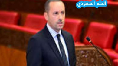 من هو أمين التهراوي ويكيبيديا