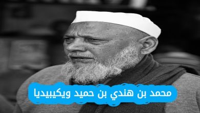 السيرة الذاتية لمحمد بن هندي بن حميد