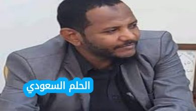 محمد علي الجزولي ويكيبيديا