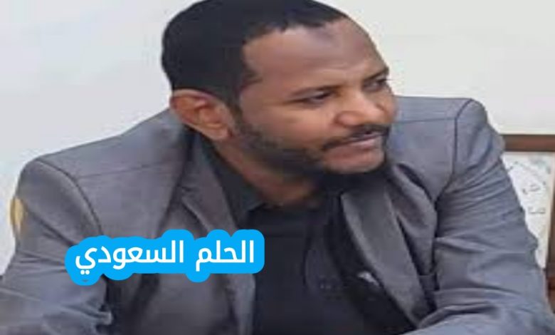 محمد علي الجزولي ويكيبيديا