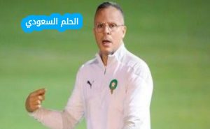 محمد وهبي والشهرة الإعلامية