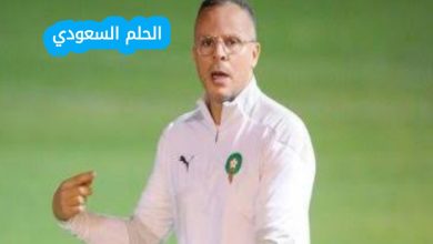 محمد وهبي والشهرة الإعلامية