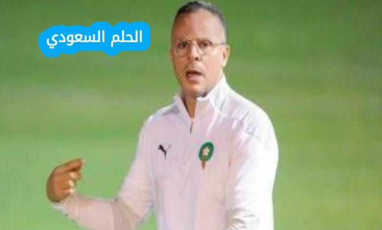 محمد وهبي والشهرة الإعلامية