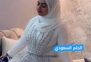 من هي أميرة الناصر ويكيبيديا السيرة الذاتية