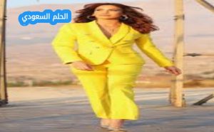 منال ملاط السيرة الذاتية 