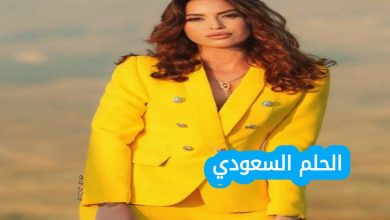 من هي منال ملاط ويكيبيديا