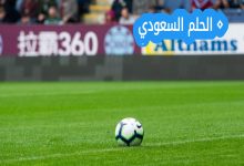 حصاد مباريات الدوري الإنجليزي اليوم.. نتائج مثيرة وصراع مشتعل على القمة