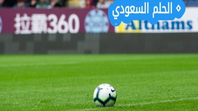 حصاد مباريات الدوري الإنجليزي اليوم.. نتائج مثيرة وصراع مشتعل على القمة