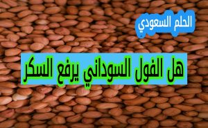 هل الفول السوداني يرفع السكر
