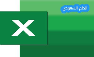 هل يتيح برنامج اكسل تحديد جزء من البيانات وطباعتها