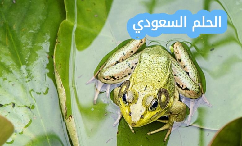 أقارن كيف يختلف جلد كل من البرمائيات والزواحف بعضها