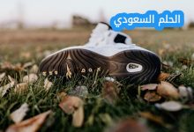 يسمى المجلد الموجود في أعلى مستوى في الهيكلية
