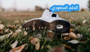 يسمى المجلد الموجود في أعلى مستوى في الهيكلية