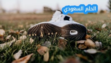 يسمى المجلد الموجود في أعلى مستوى في الهيكلية