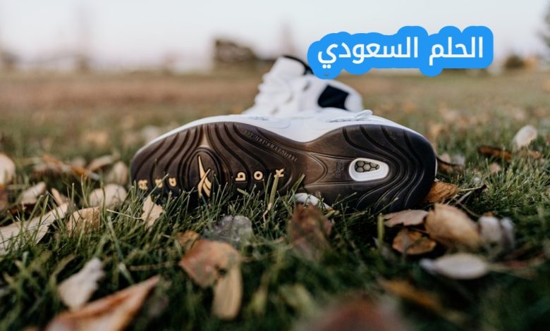 يسمى المجلد الموجود في أعلى مستوى في الهيكلية