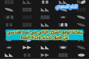 يمكننا توقع الشكل التالي في نمط هندسي عن طريق تحديد وحدة النمط