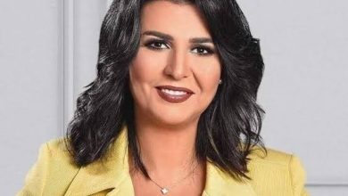 منة شلبي ويكيبيديا