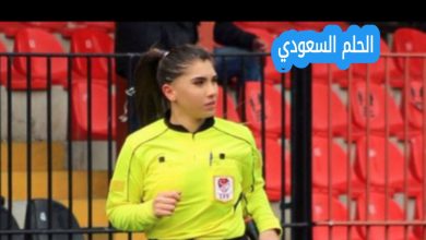 اليف كارا ارسلان ويكيبيديا