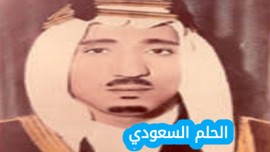 من هو ناصر بن نواف بن ناصر بن عبدالعزيز