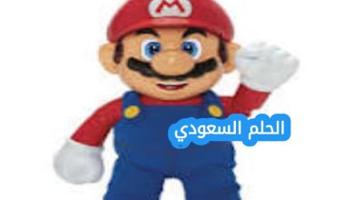 أي لعبة يظهر فيها الشخصية ماريو