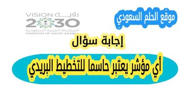 أي مؤشر يعتبر حاسما للتخطيط البريدي