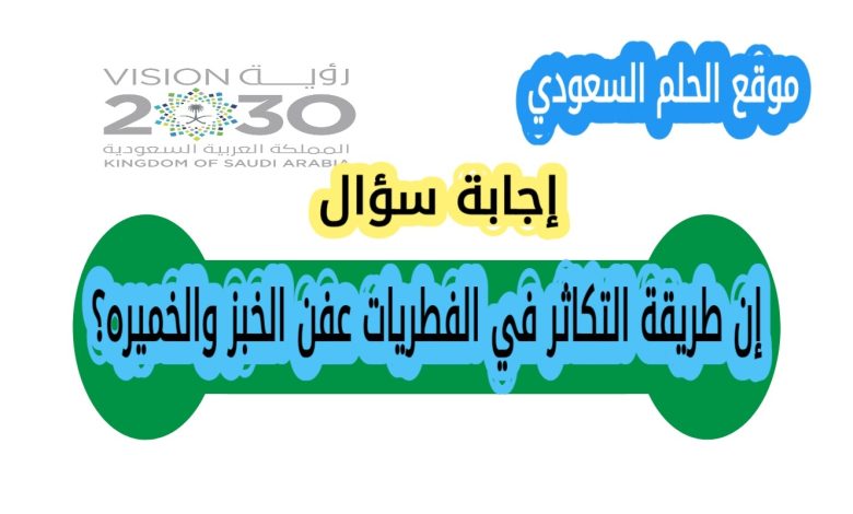 إن طريقة التكاثر في الفطريات عفن الخبز والخميره؟