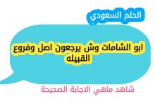 ابو الشامات وش يرجعون اصل وفروع القبيله