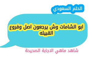 ابو الشامات وش يرجعون اصل وفروع القبيله