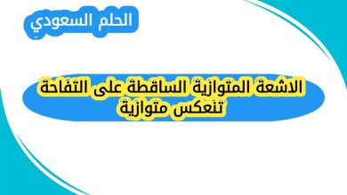 الاشعة المتوازية الساقطة على التفاحة تنعكس متوازية