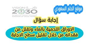 الاوراق اللحمية بالماء وتقلل من فقدانه من خلال تقليل سطح الاجابة