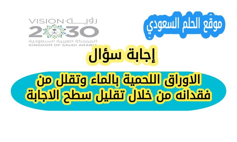 الاوراق اللحمية بالماء وتقلل من فقدانه من خلال تقليل سطح الاجابة