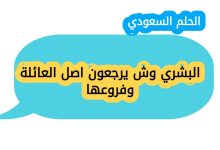 البشري وش يرجعون اصل العائلة وفروعها