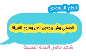 الجهني وش يرجعون أصل وفروع القبيلة