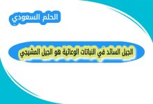 الجيل السائد في النباتات الوعائية هو الجيل المشيجي