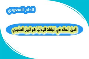 الجيل السائد في النباتات الوعائية هو الجيل المشيجي