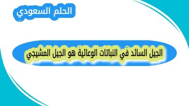 الجيل السائد في النباتات الوعائية هو الجيل المشيجي